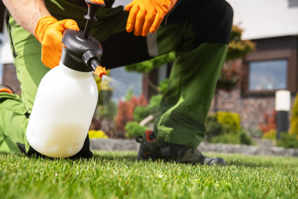 Best Bed Bug Extermination  in Hazen, ND